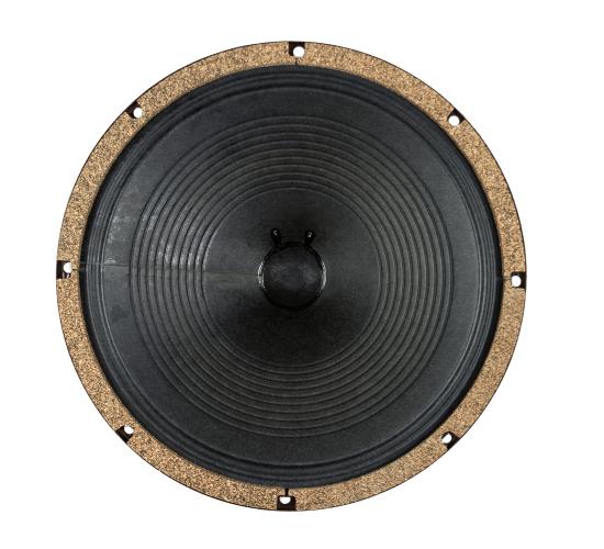 wgs 8 inch speaker